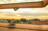 rated Pantersbridge roof window companies